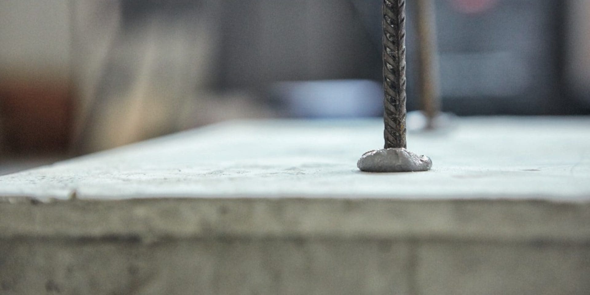 Ankraj ve Filiz Ekimi